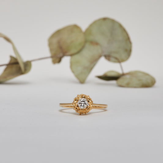 OH ELENA. 18K - Diamant