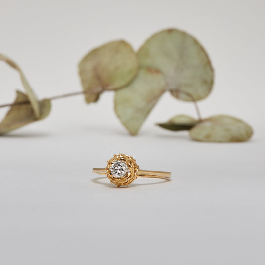 OH ELENA. 18K - Diamant