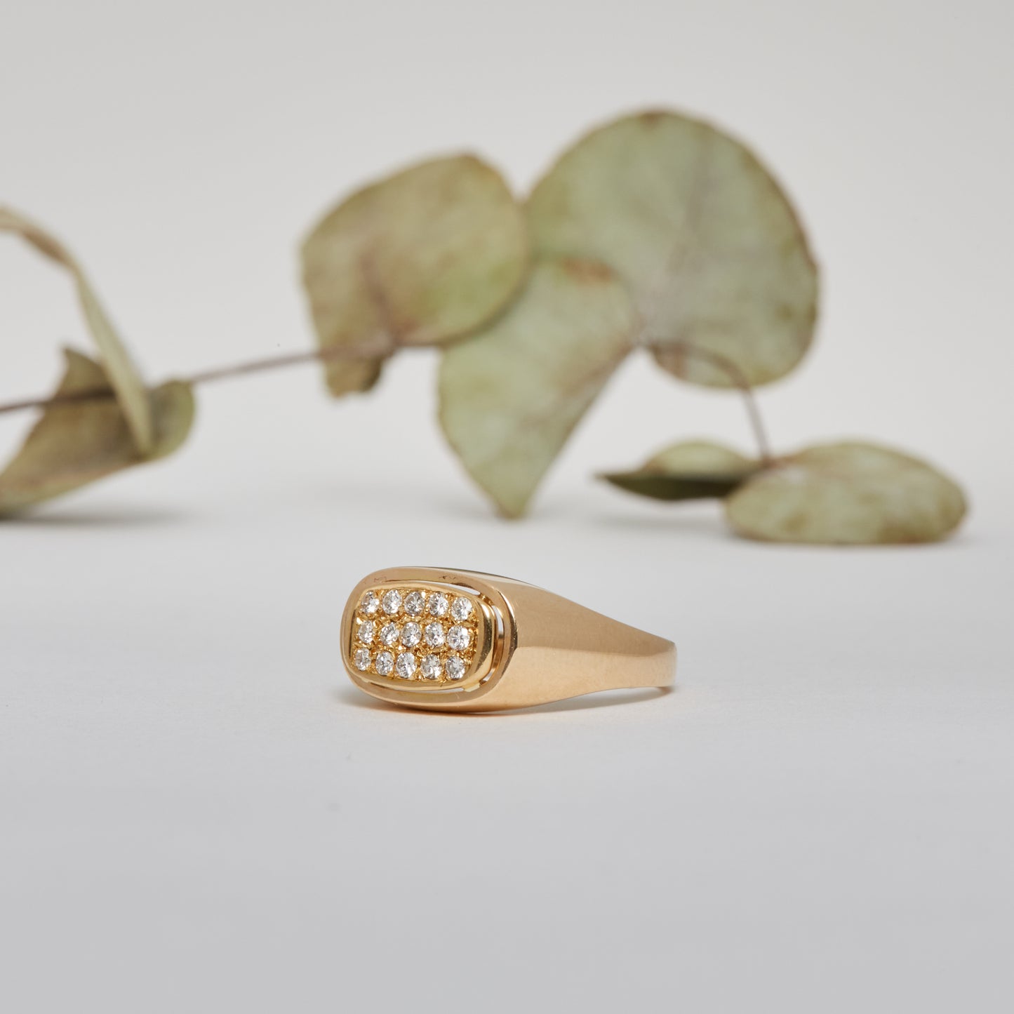 OH CELINE. 14K - Diamant