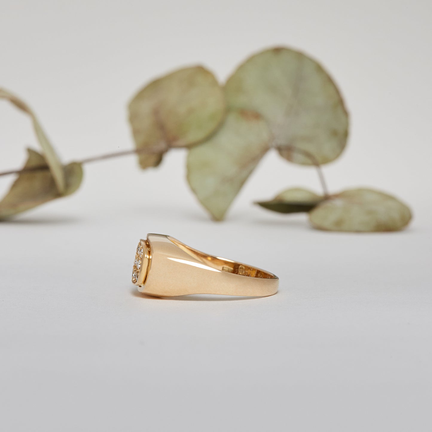 OH CELINE. 14K - Diamant